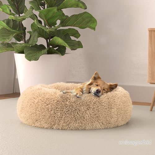 Italian säng linne hundsäng drömmar sogni e capricci pets, vanilj, 50 x cm 8058575134851