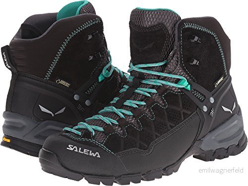 Salewa WS Alp Trainer Mid Gore TEX trekking och vandringskängor, Black Out/Agata, 38 EU 4053865373181
