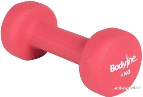 Gjutjärnhantel täckt med neopren 1 kg stötsäker och halksäker singel gym hemGym 8000866457743