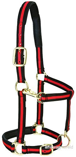 Väv läder vadderad justerbar nylon hästgrimma röd, 2,54 cm liten häst 399498099
