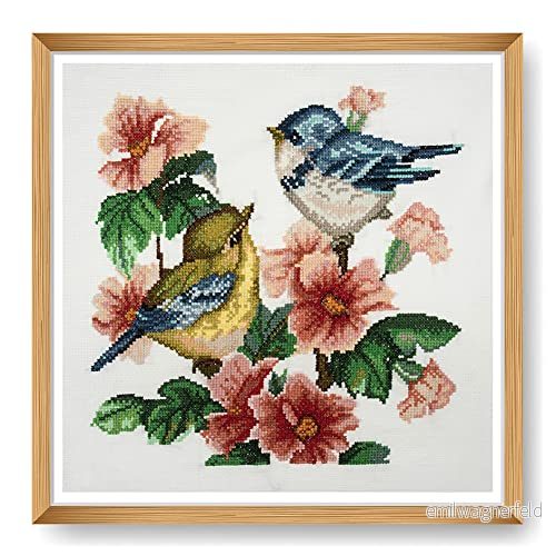 Trimits Stora korsstygnskit Räknat broderi handarbete för vuxna nybörjare barn, julklappar väggkonst natur blommor hem, 11 st Aida 36 x cm, fågel (ram ingår inte) 5022306799773