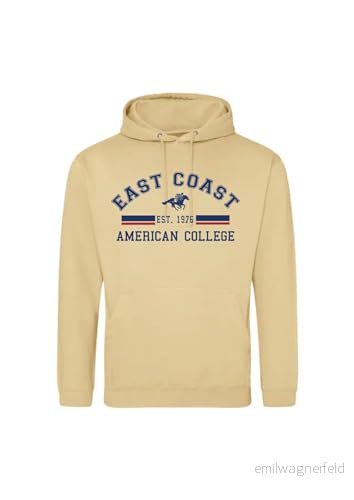 AMERICAN COLLEGE USA tröja med tryck varma kläder unisex barn pojkar och flickor casual modell ACSCW2 Beige 12 år, färg, �r 3666052676302