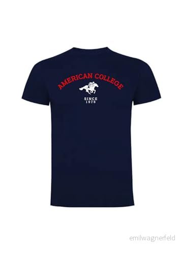 AMERICAN COLLEGE USA tröja med tryck varma kläder blandade herr och dam casual modell ACSZW7 MELL grå 16 år, Färg: grå, XS 3666052659664